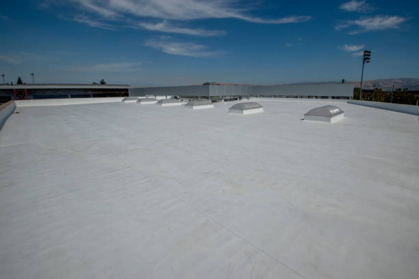 Best Metal Roofing Installation  in Lambertville, MI