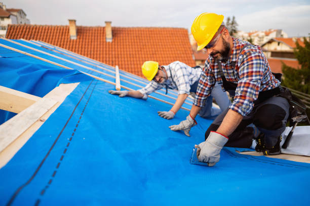 Best Roof Ventilation Installation  in Lambertville, MI