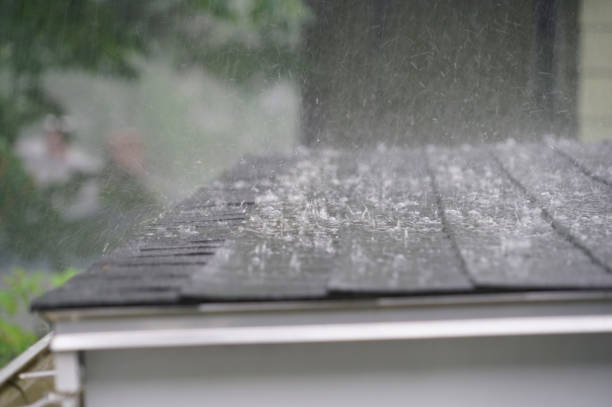  Lambertville, MI Roofing Pros