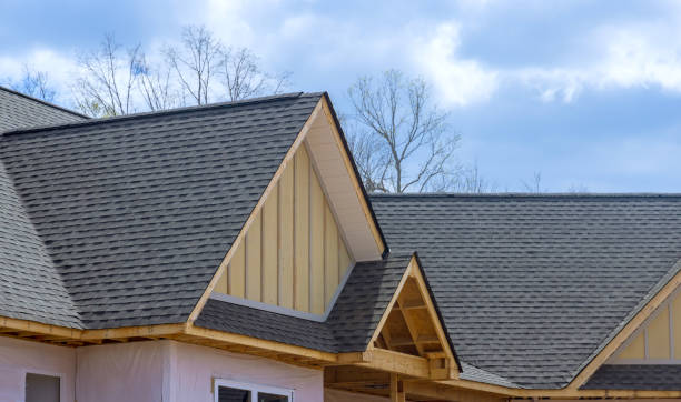 Best Roof Insulation Installation  in Lambertville, MI
