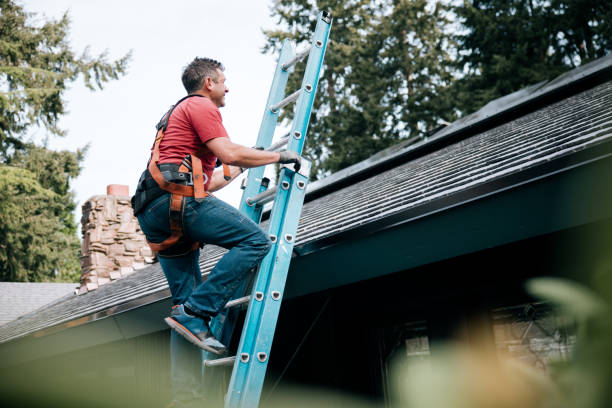 Best Skylights  in Lambertville, MI