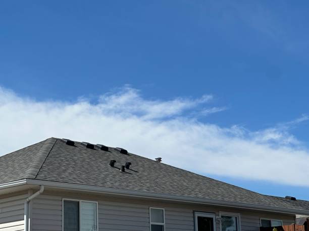 Best Gutter Installation and Repair  in Lambertville, MI